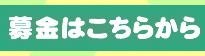 FNSチャリティ募金はこちらから