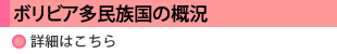 ボリビア多民族国概況